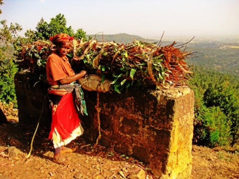 אשה עובדת - מראה אופייני באתיופיה