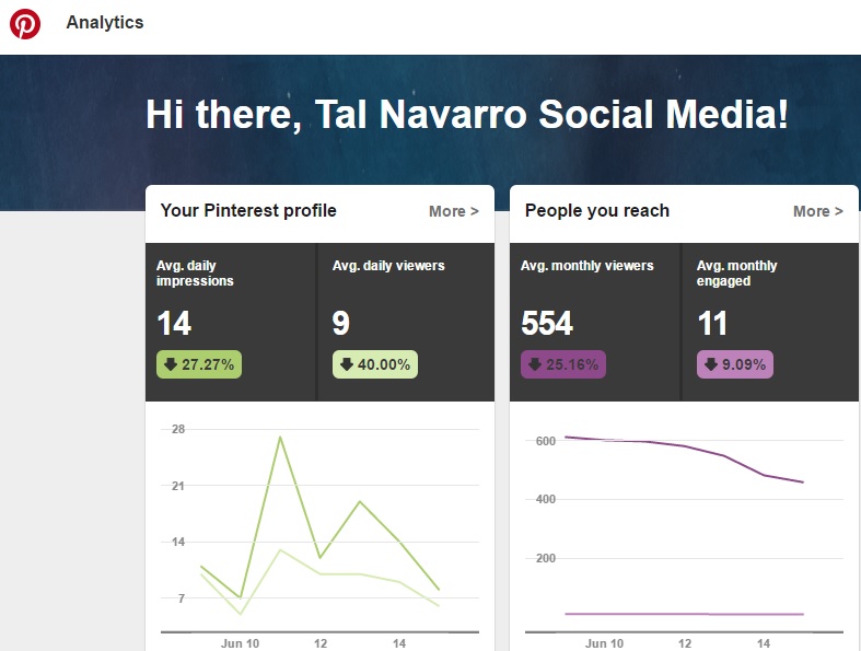 סטטיסטיקות בפינטרסט - פינטרסט לעסקים